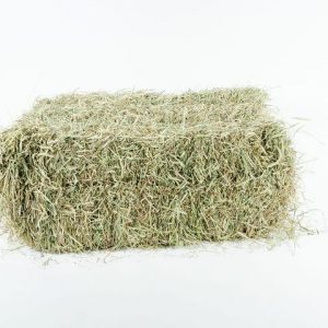 Gourmet Timothy Hay